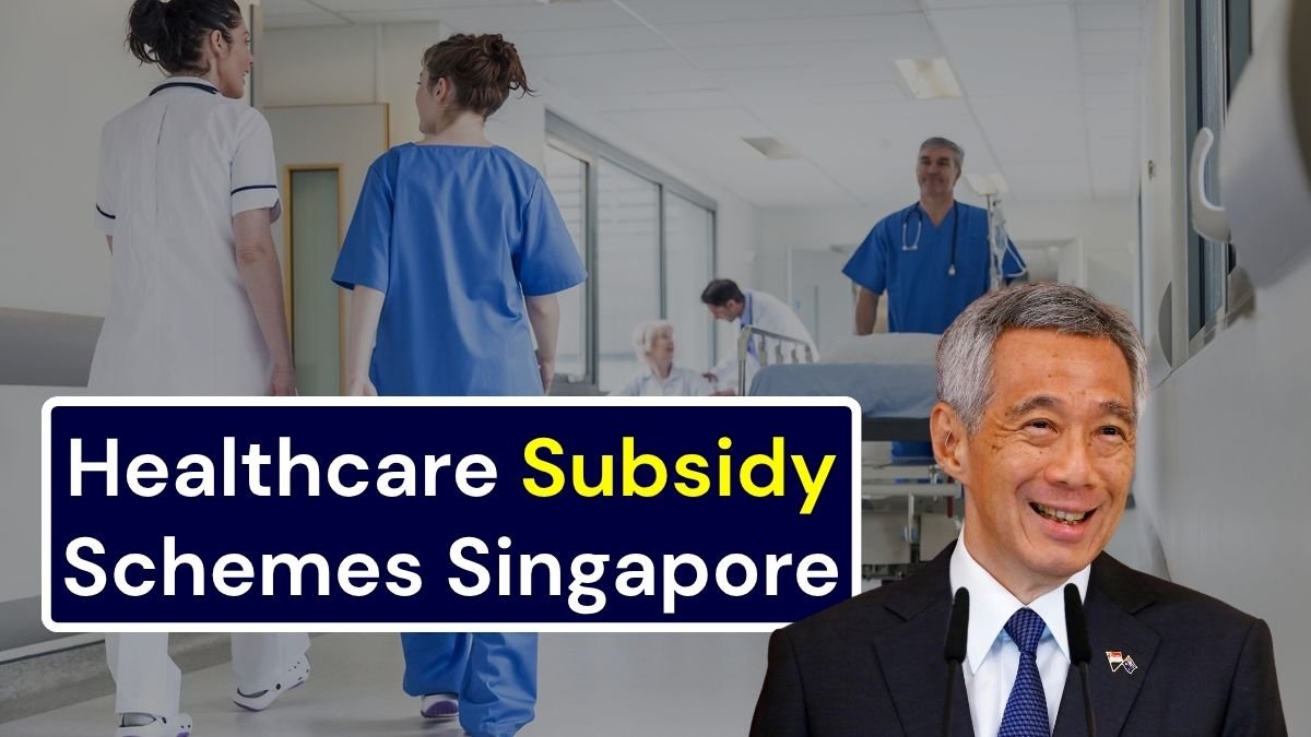Healthcare Subsidy Schemes Singapore