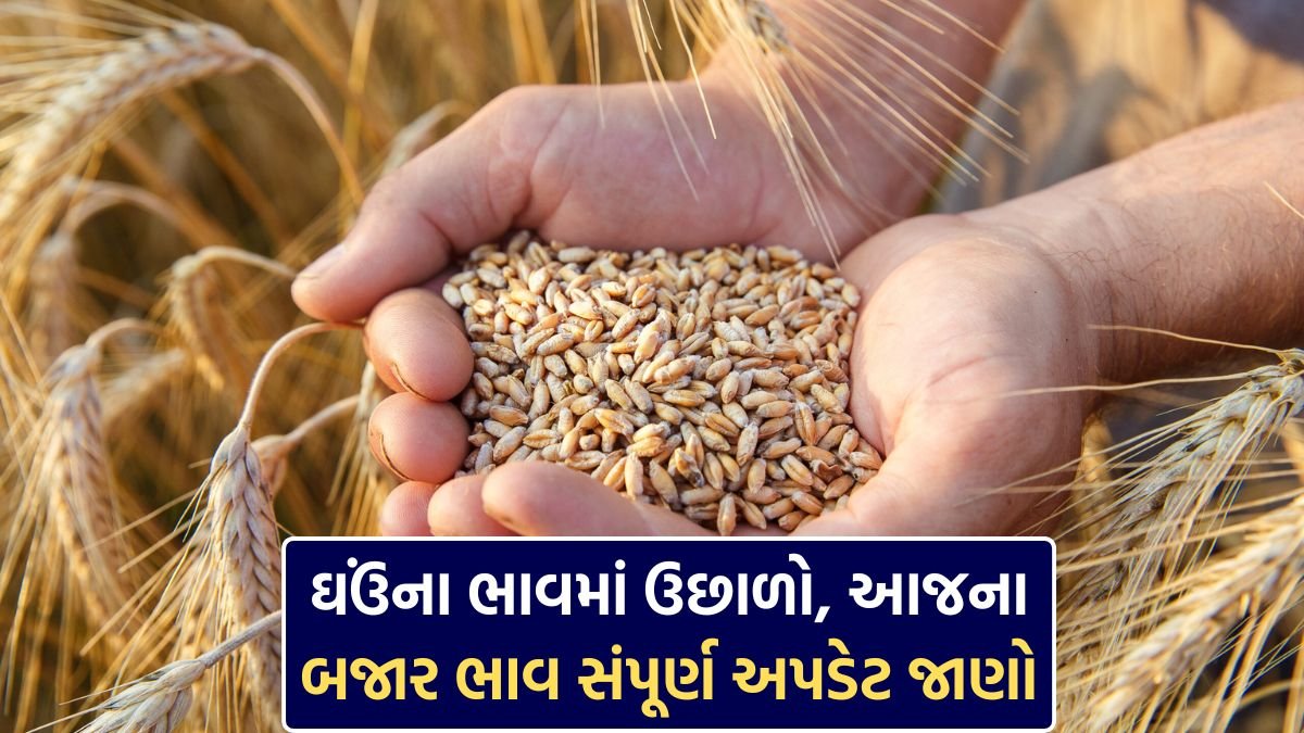 Gujarat bajar bhav today