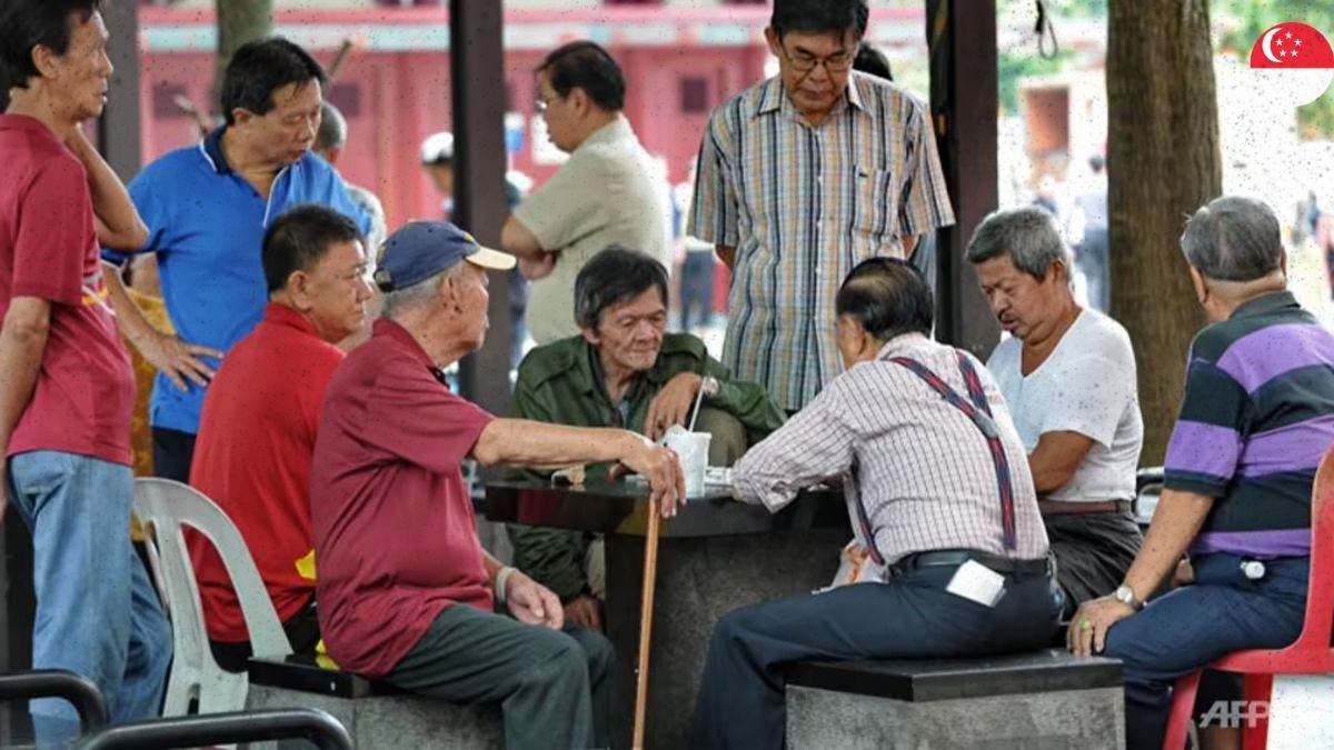 Senior Support Scheme 2026