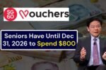 Seniors Have Until Dec 31, 2026 to Spend $800